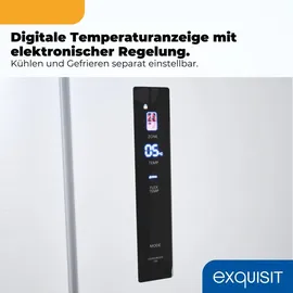 Exquisit EMD470-170-200E Multi Door (466 l, 1930 mm hoch, Inox weiß)
