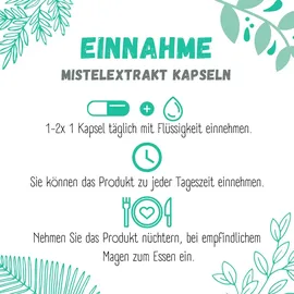 sinoplasan gmbh Mistelextrakt 450 mg Mono Kapseln 120 St.