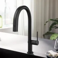 Hansgrohe Aqittura M91 FilterSystem 210, Ausziehauslauf, 1jet, sBox, mattschwarz