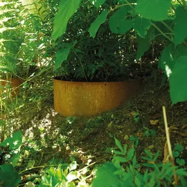 Bellissa Hangpflanzschale 96,5 x 34 cm