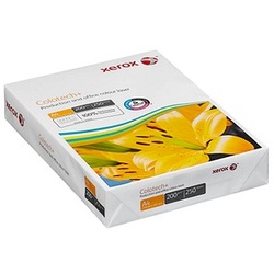 xerox Laserpapier Colotech+ DIN A4 200 g/qm 250 Blatt