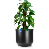 BigDean Style Ø 40 x 35,5 cm Anthrazit