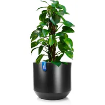 BigDean Style Ø 40 x 35,5 cm Anthrazit