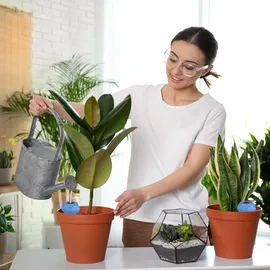 Relaxdays Bewässerungskugeln Ton 4er Set Ø 6 cm