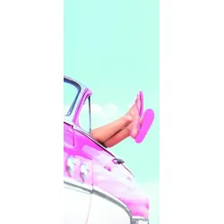 framsohn Strandtuch Liegetuch 'Cabrio' 80 x 180 cm #