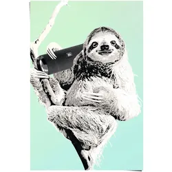 Poster REINDERS "Boombox Faultier", blau (farbe bild(er): blau), B:61cm H:91,5cm, Papier, Bilder