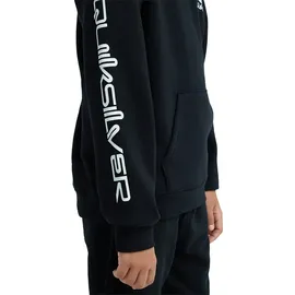 QUIKSILVER Omni Logo Black 146
