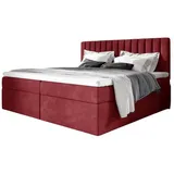Fun Möbel Boxspringbett Schlafzimmerbett LINNEA 180x200cm Stoff Rot inkl. Bettkasten - Rot