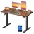 VASAGLE Höhenverstellbarer Schreibtisch, Computertisch, 120 x 60 cm