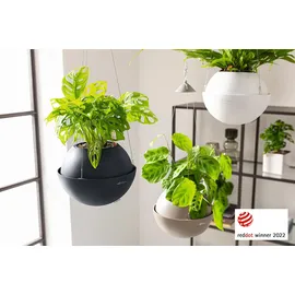 LECHUZA Bola Color 23 Komplettset Ø 23 x 18 cm sandbraun