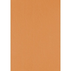 LMG Rückwände für Bindemappen DIN A4 300 g/qm orange