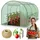 Plonos Tunnel 2 × 3 m Stahl Grün PE-Folie 140 g/m2 6 m2