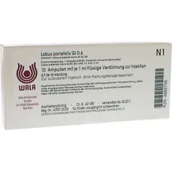 LOBUS parietalis GL D 6 Ampullen 10X1 ml