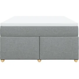vidaXL Boxspringbett 160 x 200 cm Hellgrau