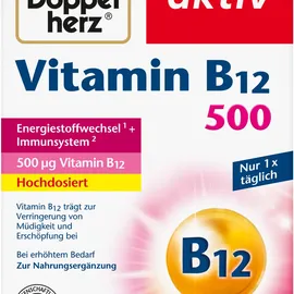 Queisser Pharma Doppelherz Vitamin B12 500 120 st