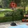 sportnow Basketballständer Braun/Schwarz 129-179 cm