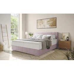 Boxbett INOSIGN "Thor mit Bettkasten, inkl. Matratze, Topseller", rosa (stripes 8626 flamingo), B:186cm L:208cm, Komplettbetten, Boxspringbett, Topper und Zierkissen, in verschiedenen Härtegraden verfügbar