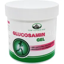 Axisis Glucosamin Gel 250 ml