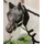 Kentucky Fliegenmaske Classic mit Ohren Schwarz