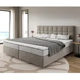 DeLife Dream-Fine 200 x 200 cm H2 beige