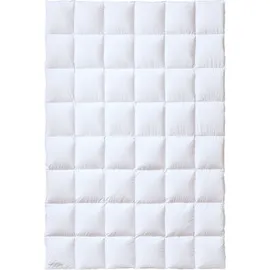 Kauffmann Österreichische Weidegans 240x220 cm / warm