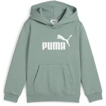 Puma Unisex-Kinder ESS No. 1 Logo Hoodie FL PS Kapuzenpullis, Green Moon,