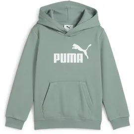 Puma Unisex-Kinder ESS No. 1 Logo Hoodie FL PS Kapuzenpullis, Green Moon,