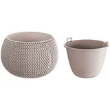 Prosperplast Splofy Bowl