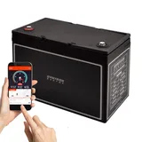 Syntrox Germany Lithium LiFePO4 Wohnmobil Batterie, Bluetooth-Überwachung, Geringes Gewicht, Hohe Kapazität, Lange Lebensdauer, Zuverlässige Energiequelle (80Ah)