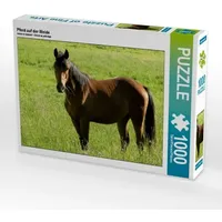 Calvendo Pferd auf der Weide (Puzzle)