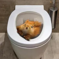 Jowxsx Gelb 3D Eichhörnchen Toilettensitz Aufkleber - 3D Eichhörnchen Toilettensitz Aufkleber, Eichhörnchen Toilettendeckel Aufkleber Toilettendeckel Badezimmer WC Aufkleber Lustiger Toilettendeckel