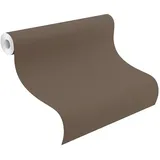 Rasch Textil Vliestapete Uni 10,05 m x 0,53 m 752663 Braun