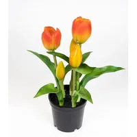 Seidenblumen Roß Tulpen Real Touch 24cm im Topf ZF