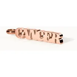 PURELEI Cancer Letter Charm