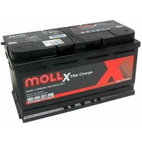 Moll X-TRA Charge 12V 100 Ah 850A A 84100
