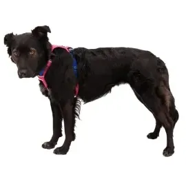 Ruffwear Hi & Light Hundegeschirr Alpenglow Pink M