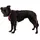 Ruffwear Hi & Light Hundegeschirr Alpenglow Pink M