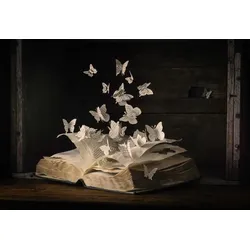 Fototapete PAPERMOON "Photo-Art HEATHER BONADIO, LEPIDOPTEROLOGIE", bunt, B:3,50m L:2,60m, Vlies, Tapeten