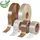 Tesa Paketband tesapack 50 mm x 132 m 36 St.