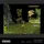 - Tomb Raider Collection 1, Evercade
