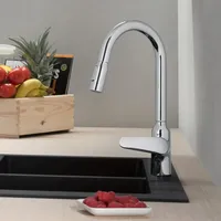 Hansgrohe Focus M42 220 2jet chrom 71800000