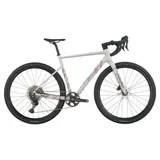 Scott Speedster Gravel 30 2026 28 Zoll RH 54 cm grau
