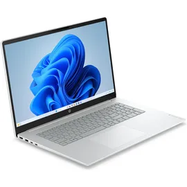 HP OmniBook 3 17-dp0657ng AMD Ryzen 5 40 16 GB RAM 1 TB SSD Win11 Home Glacier Silver