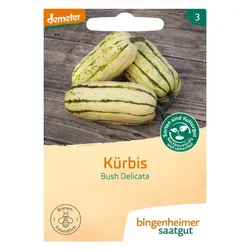 Bingenheimer Saatgut Kürbis Bush Delicata
