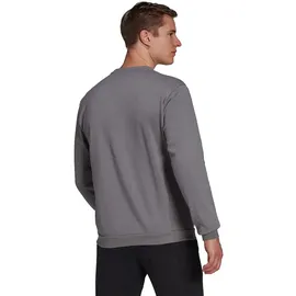 adidas Entrada 22 Sweatshirt Team Grey Four 2XL