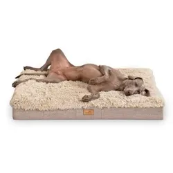 Tierlando PABLO SHAGGY ORTHO PLUS Hundematratze beige 80 cm, 13 cm, 60 cm