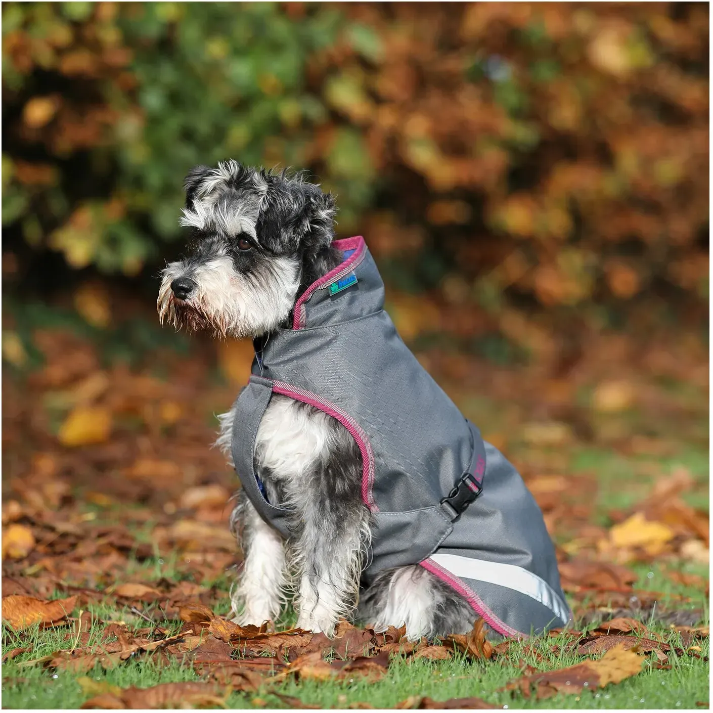 bucas Hundemantel Dog Rug Freedom 300 g smoke grey 45 cm