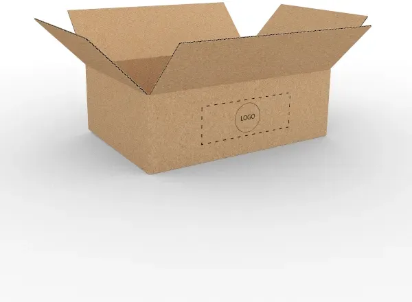 Einfache Kartonschachtel 360x360x170mm 25un