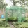 Outsunny Gewächshaus Stahl Dunkelgrün PE 1 mm 3,2 m2