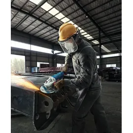 Bosch GWS 24-230 P Professional